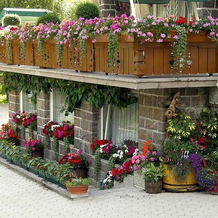 Albergo Trentino Moena Esterno foto